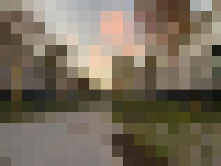 Image 15