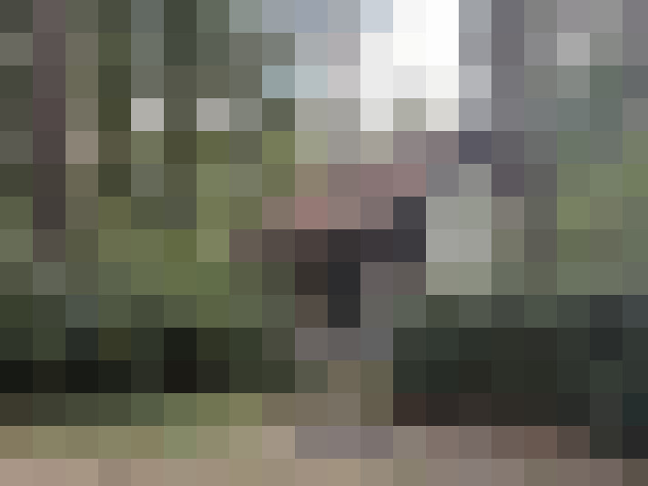 Image 14