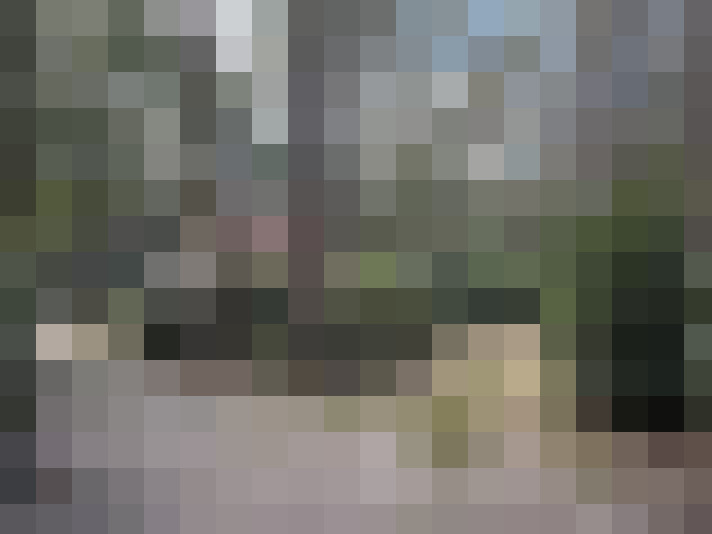 Image 16