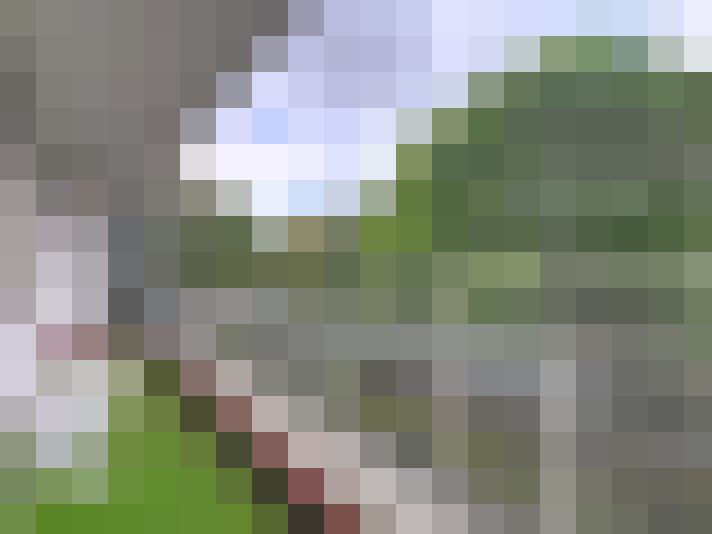 Image 13