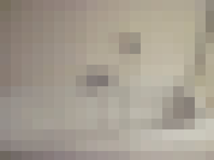Image 17