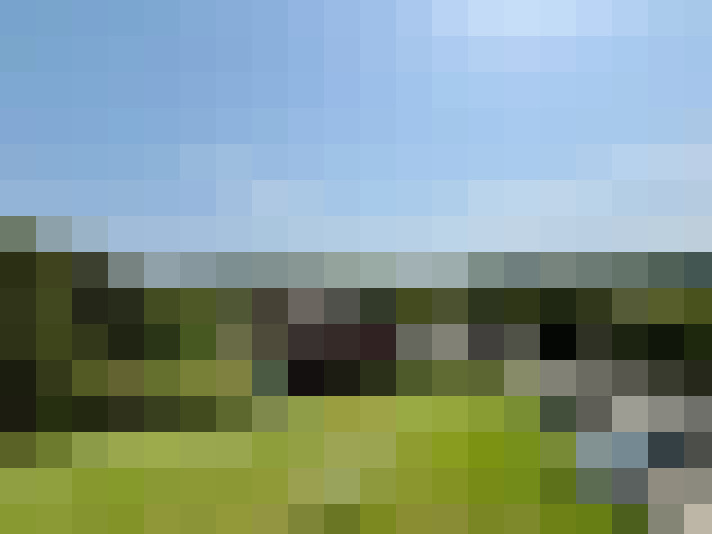 Image 30
