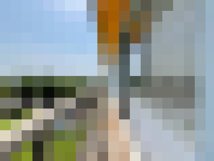 Image 29