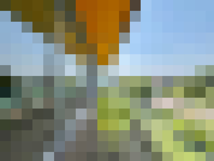 Image 28