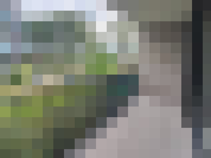 Image 23