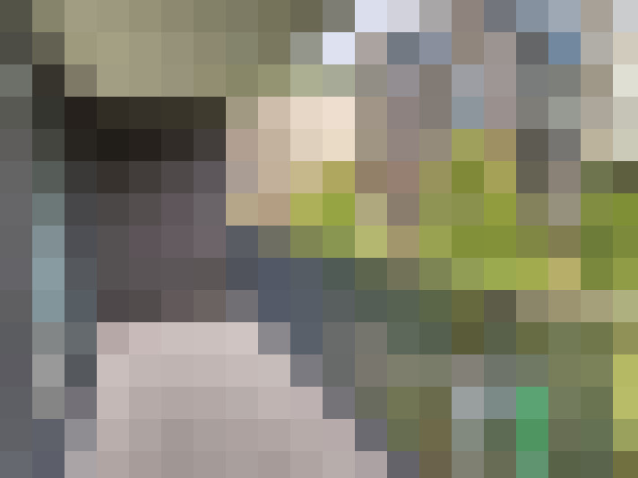 Image 20