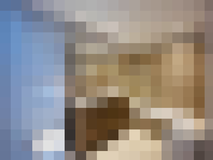 Image 15