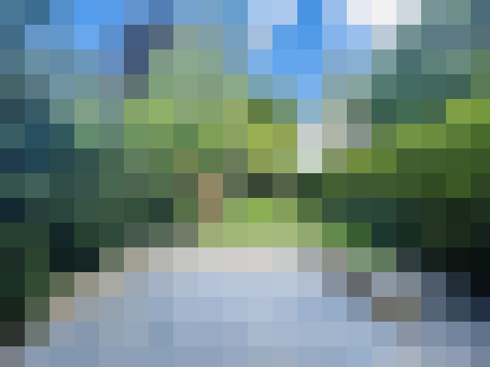Image 23