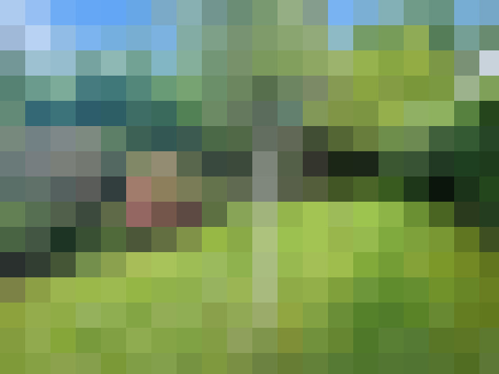 Image 24