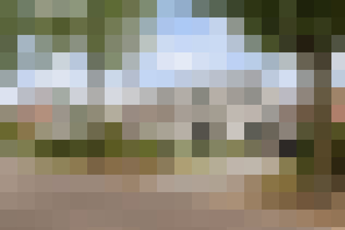 Image 26