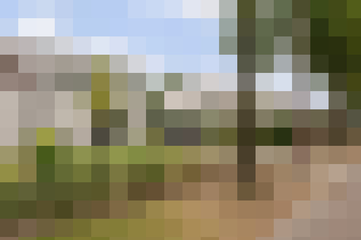 Image 25