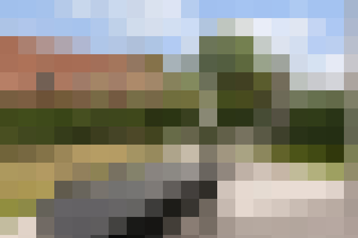 Image 20