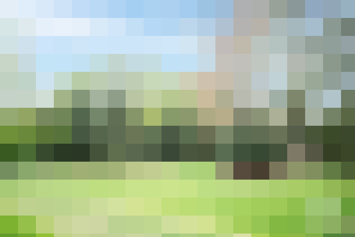 Image 20