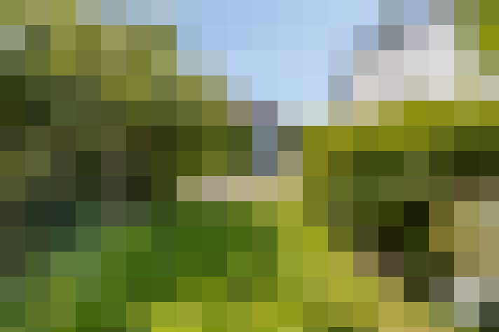 Image 24