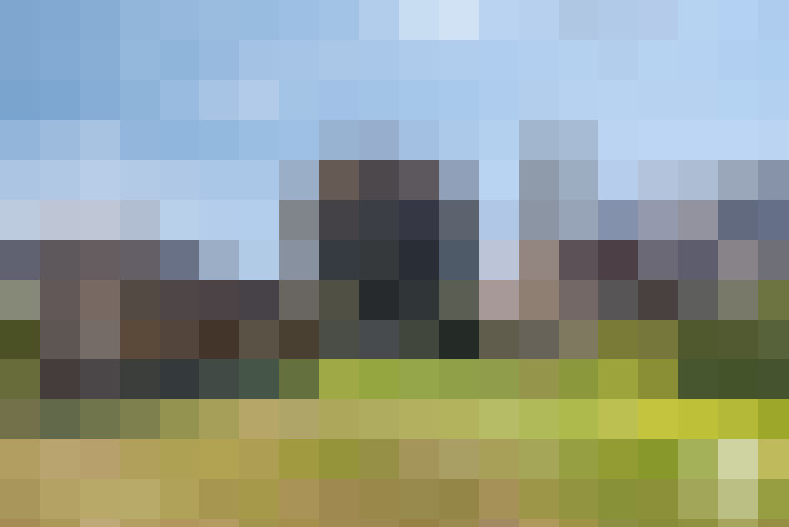 Image 23