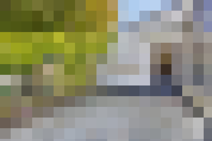 Image 22