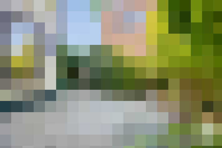 Image 21