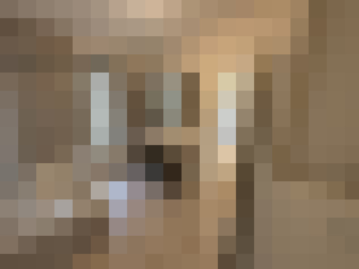 Image 14