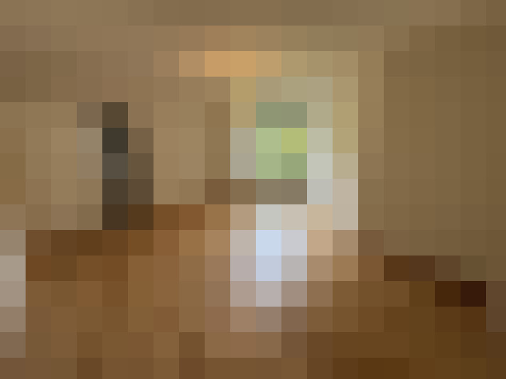 Image 13