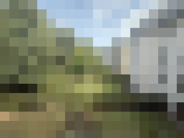 Image 24