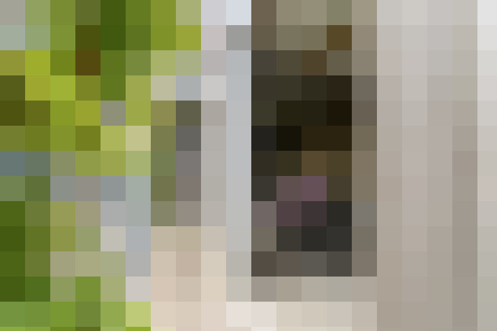 Image 15