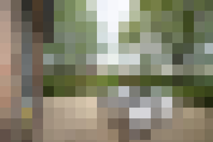 Image 17