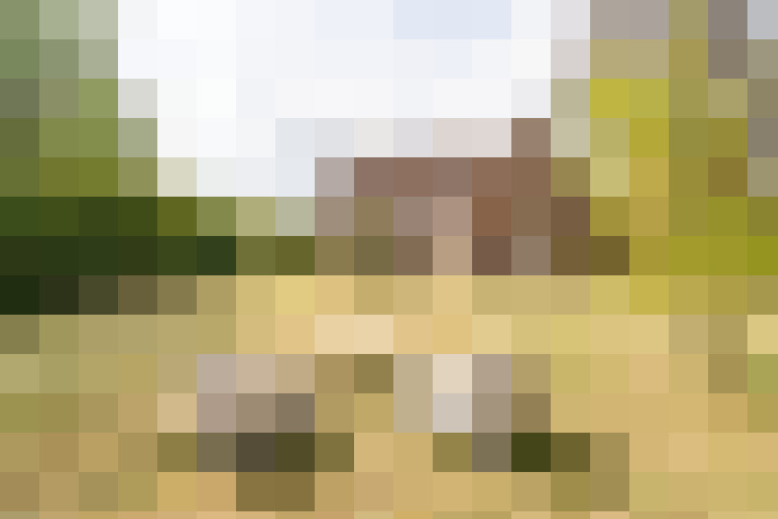 Image 18