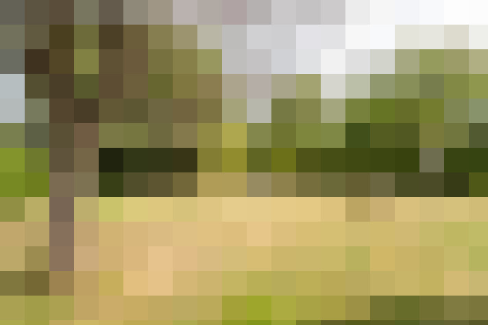 Image 20