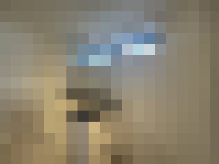 Image 15
