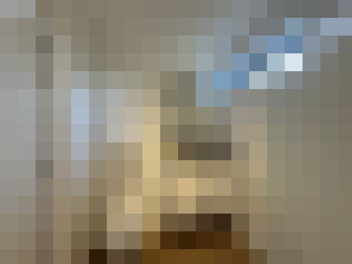 Image 17