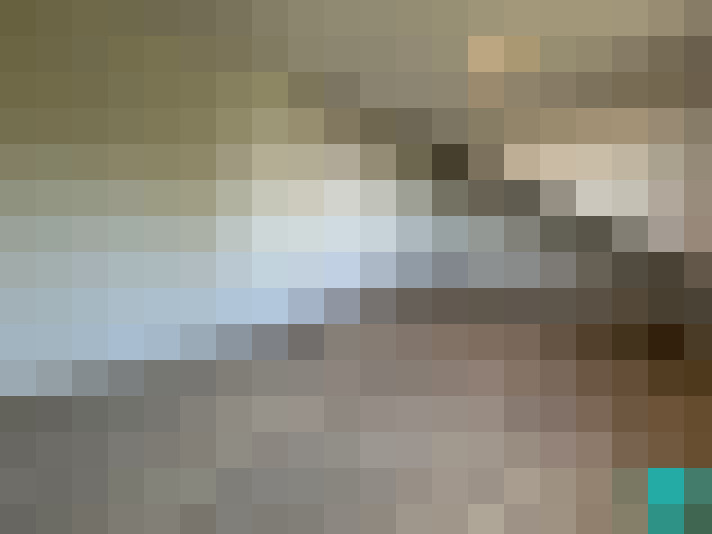 Image 15