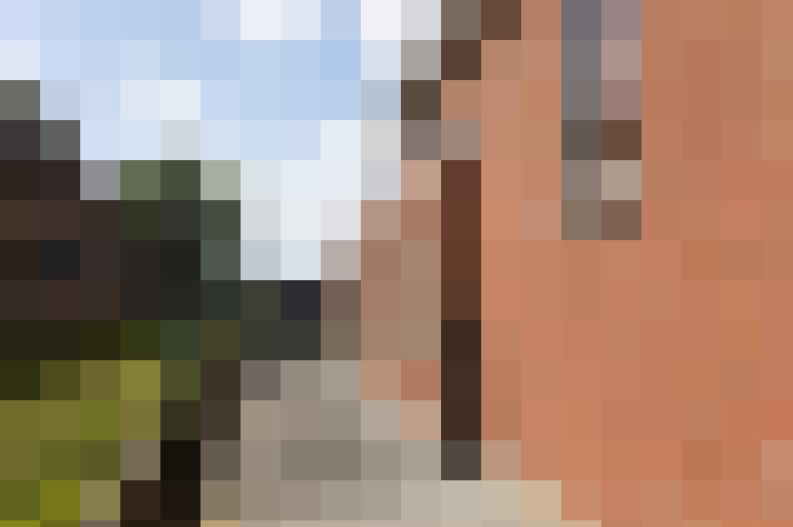 Image 24