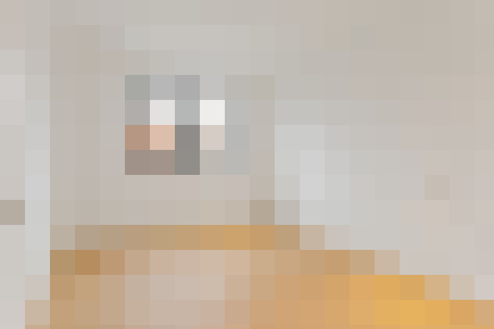 Image 20