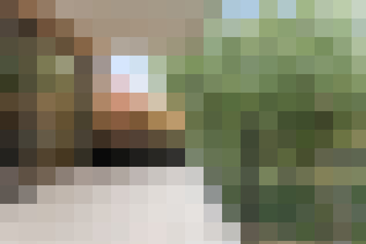 Image 25