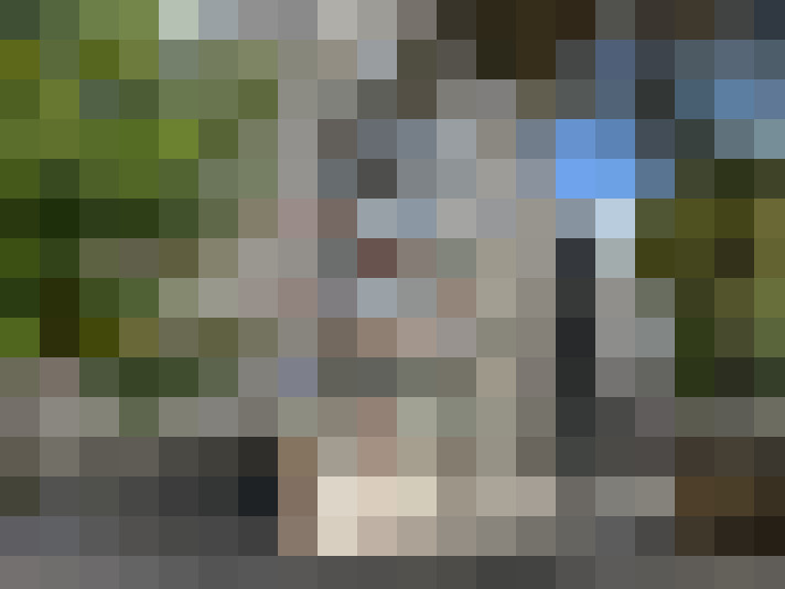 Image 13