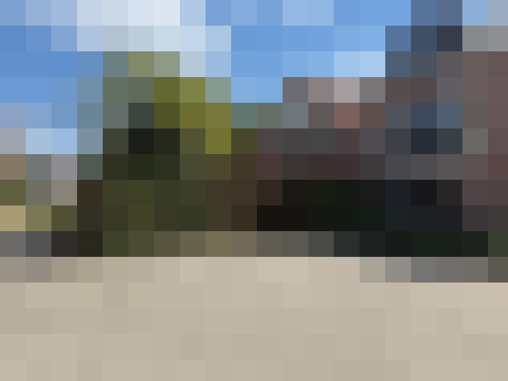 Image 13