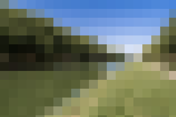 Image 22