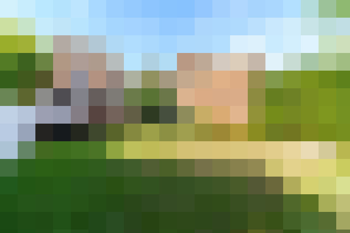 Image 27