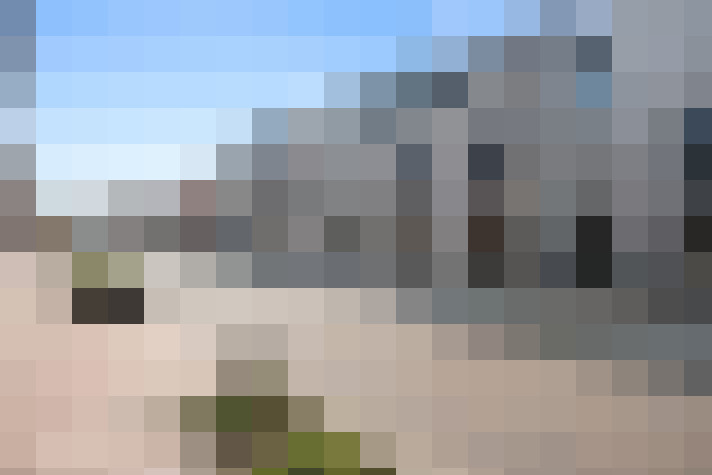 Image 22