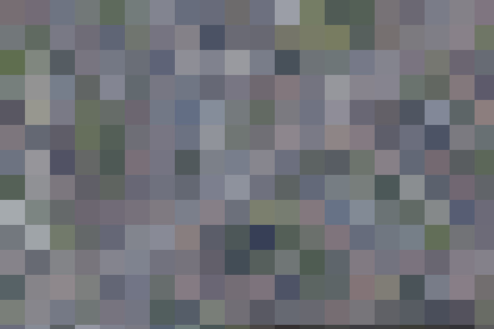 Image 19