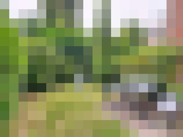 Image 13