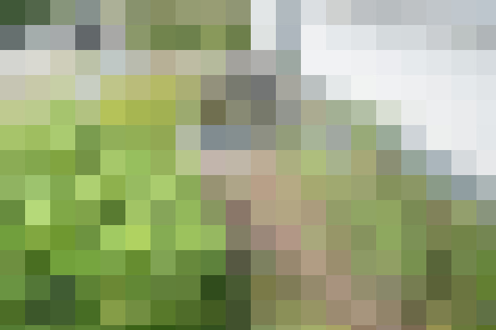 Image 25