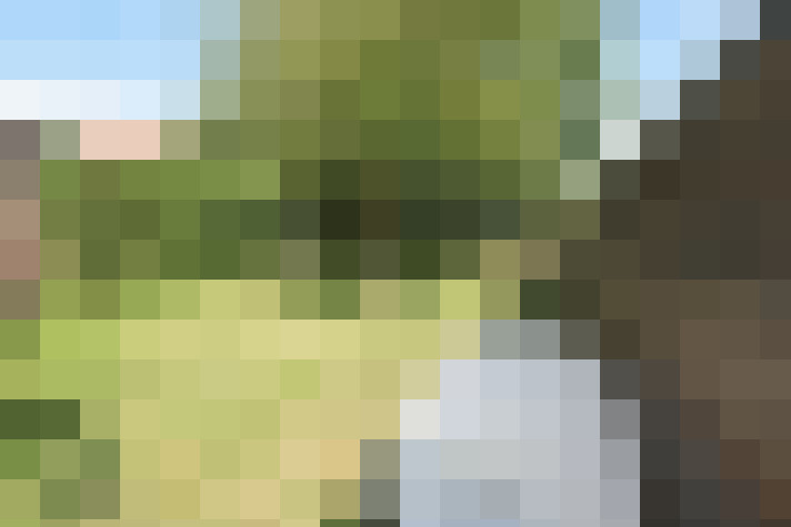 Image 17