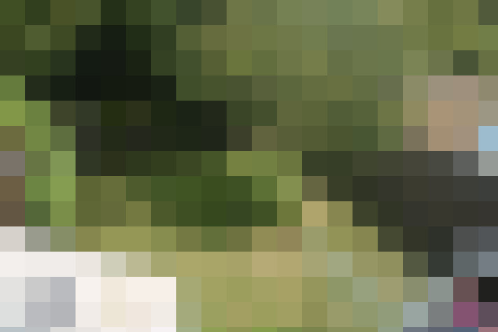 Image 22