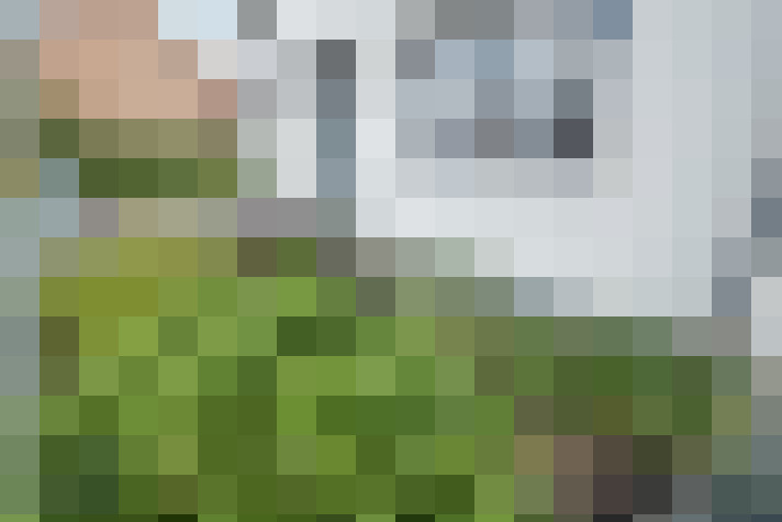 Image 24