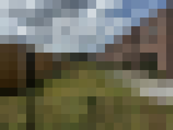 Image 26