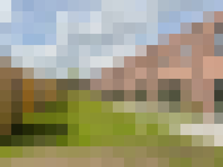 Image 24