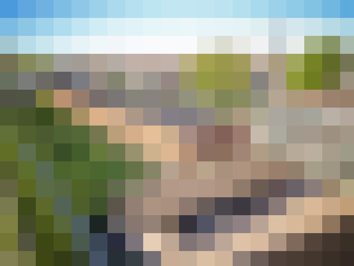 Image 21