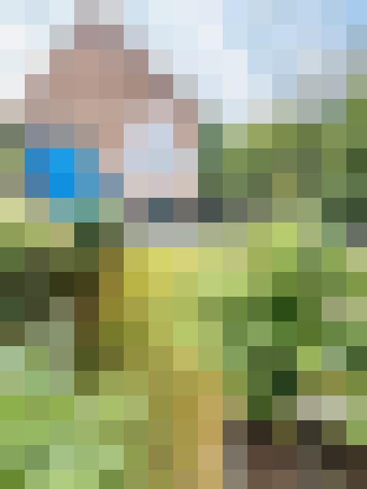 Image 16
