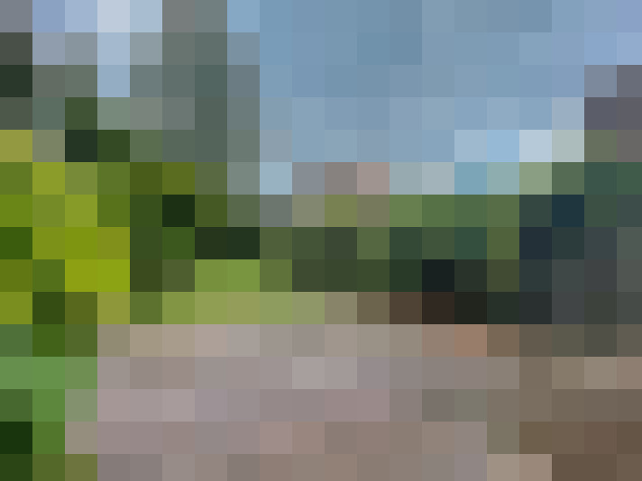 Image 20